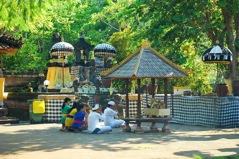 weed in Seminyak