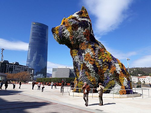 Weed in Bilbao