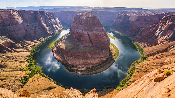 Weed in Arizona